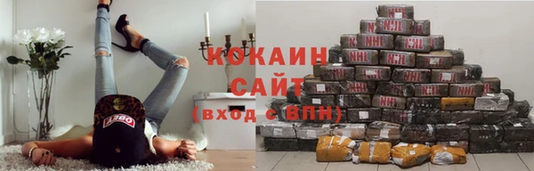 гидра Верхний Тагил