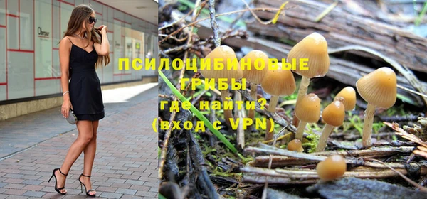 гидра Верхний Тагил
