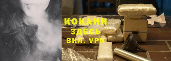гидра Верхний Тагил