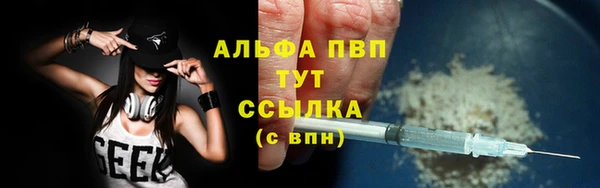 индика Бугульма