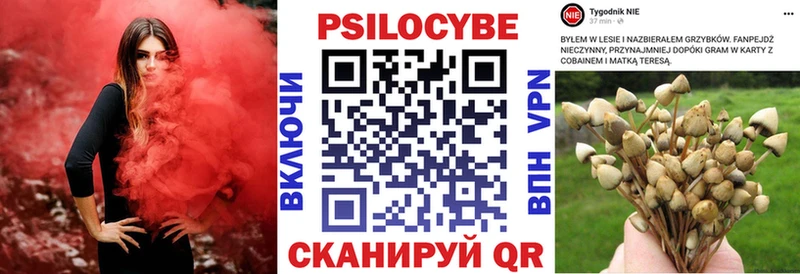 Купить закладки  Микунь  Псилоцибиновые грибы Magic Shrooms 